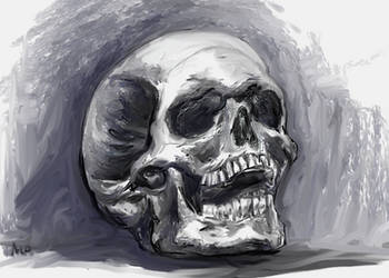 Skull