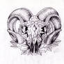 Rams head sugarskull Sketch