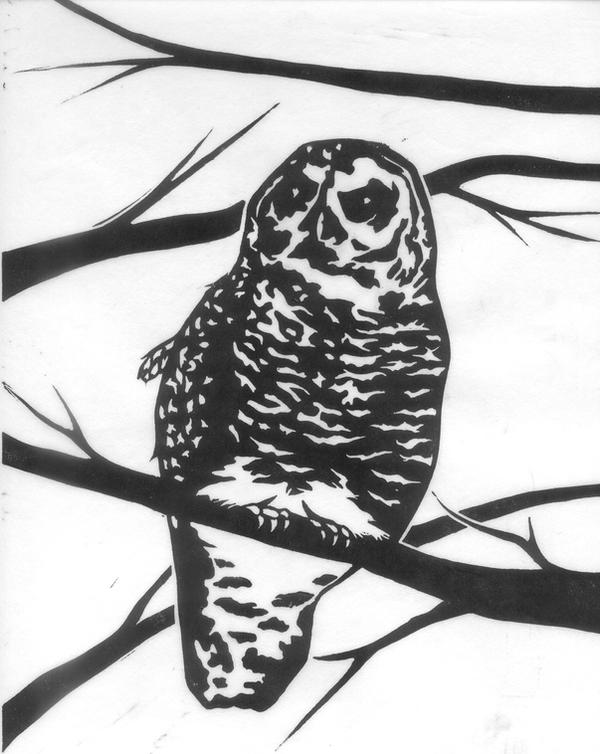 Owl Block Graphics Spotted Owl Block Print by hatsudakenji on DeviantArt