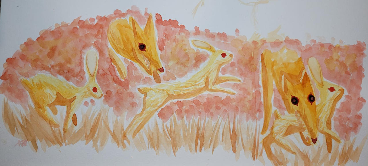 Run Rabbit Run by Spiderleamer on DeviantArt