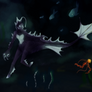A Night Walk