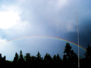 Albertsons Rainbow