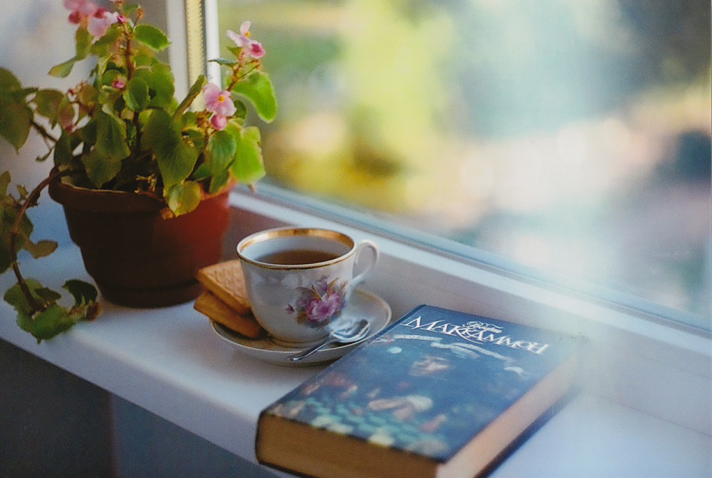 lovely reading place