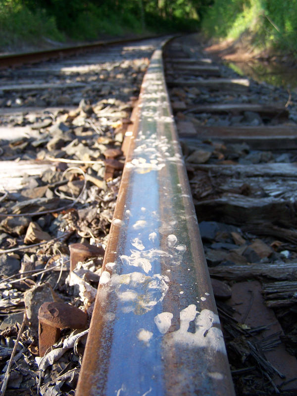 Muddy Tracks