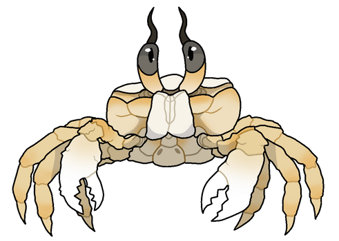 [Payment] Ghost Crab