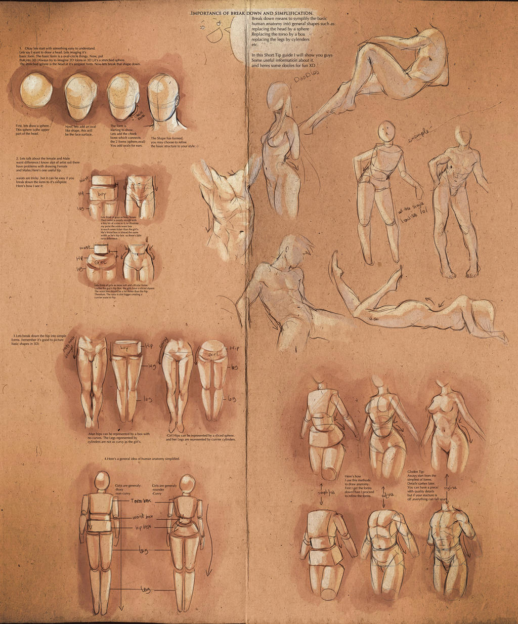 Simplify Human Anatomy guide by sakimichan