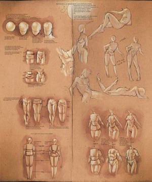 Simplify Human Anatomy guide