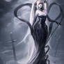 Lady Grey