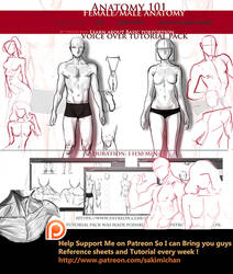 Anatomy 101  porportion Voice over tutorial pack