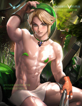 Shirtless Link version