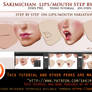 lip variation step by step tutorial pack.promo.