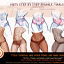 Hips step by step male/female tutorial pack.promo.
