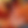 Phenoix Girl .nsfw preview.