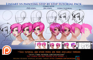 lineart vs Painting steps tutorial pack.promo.