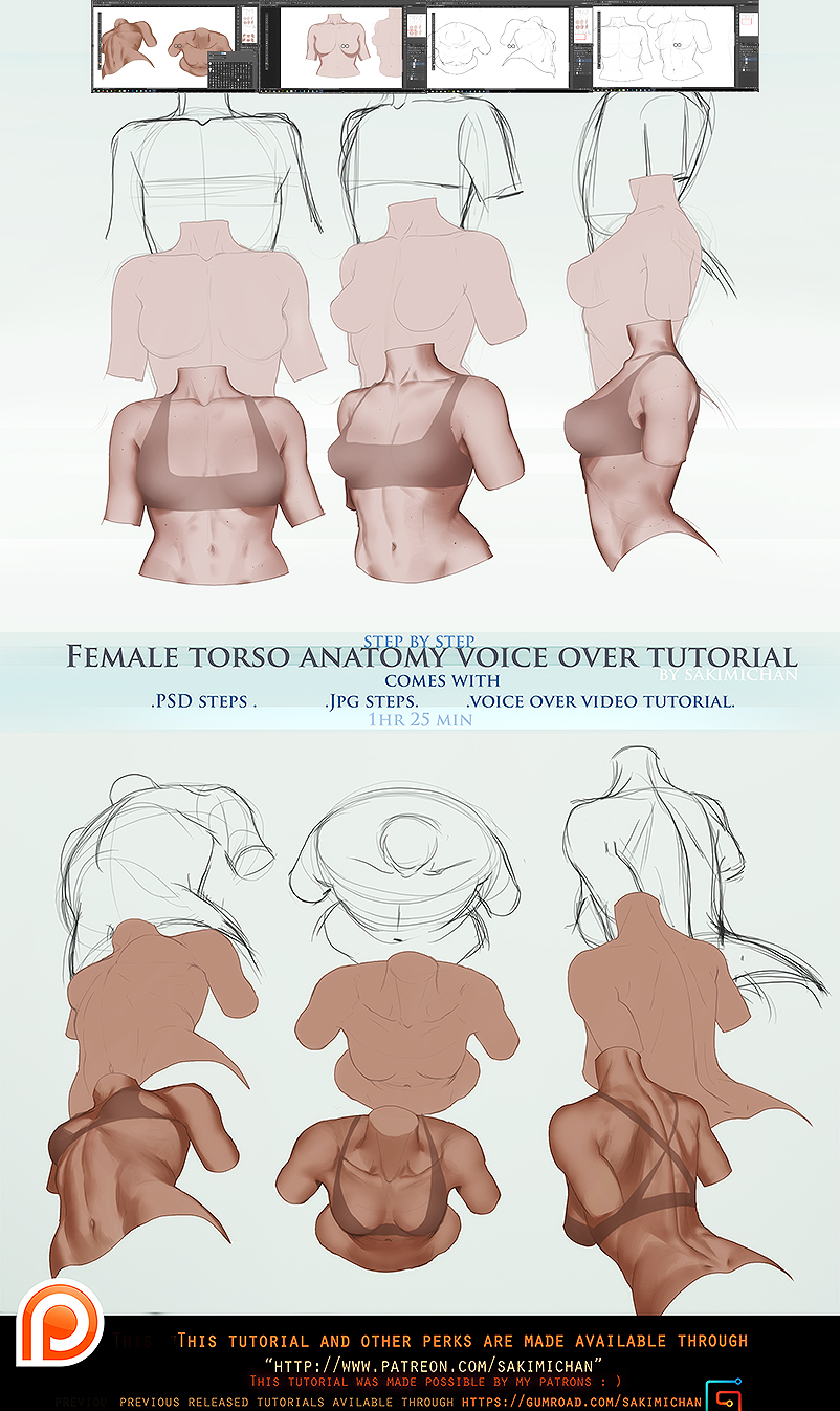 Female torso anatomy voice over .promo.
