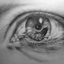 Raven eye