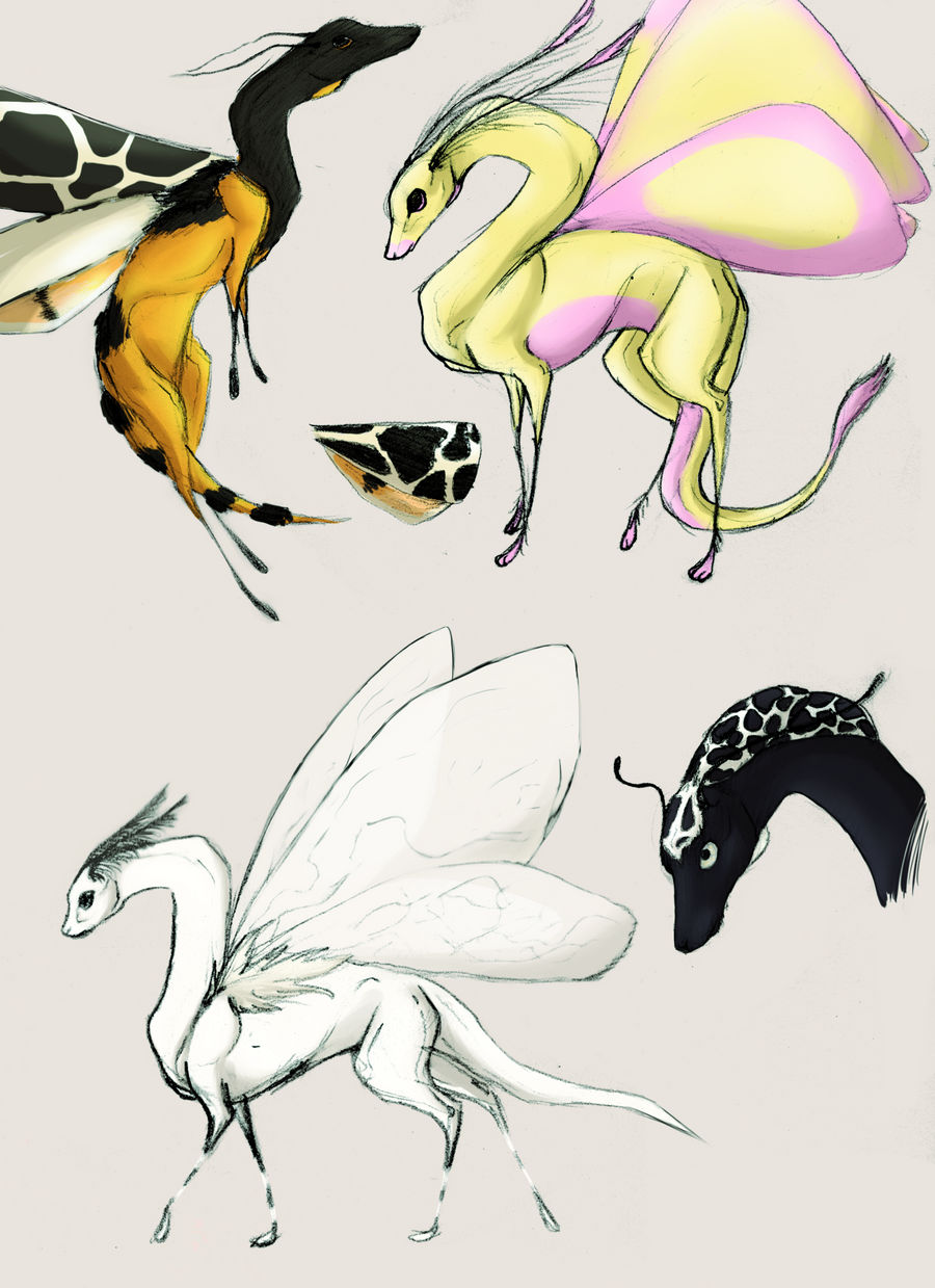 Moth Dragons