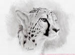 AP01- Cheetah by AquaVarin