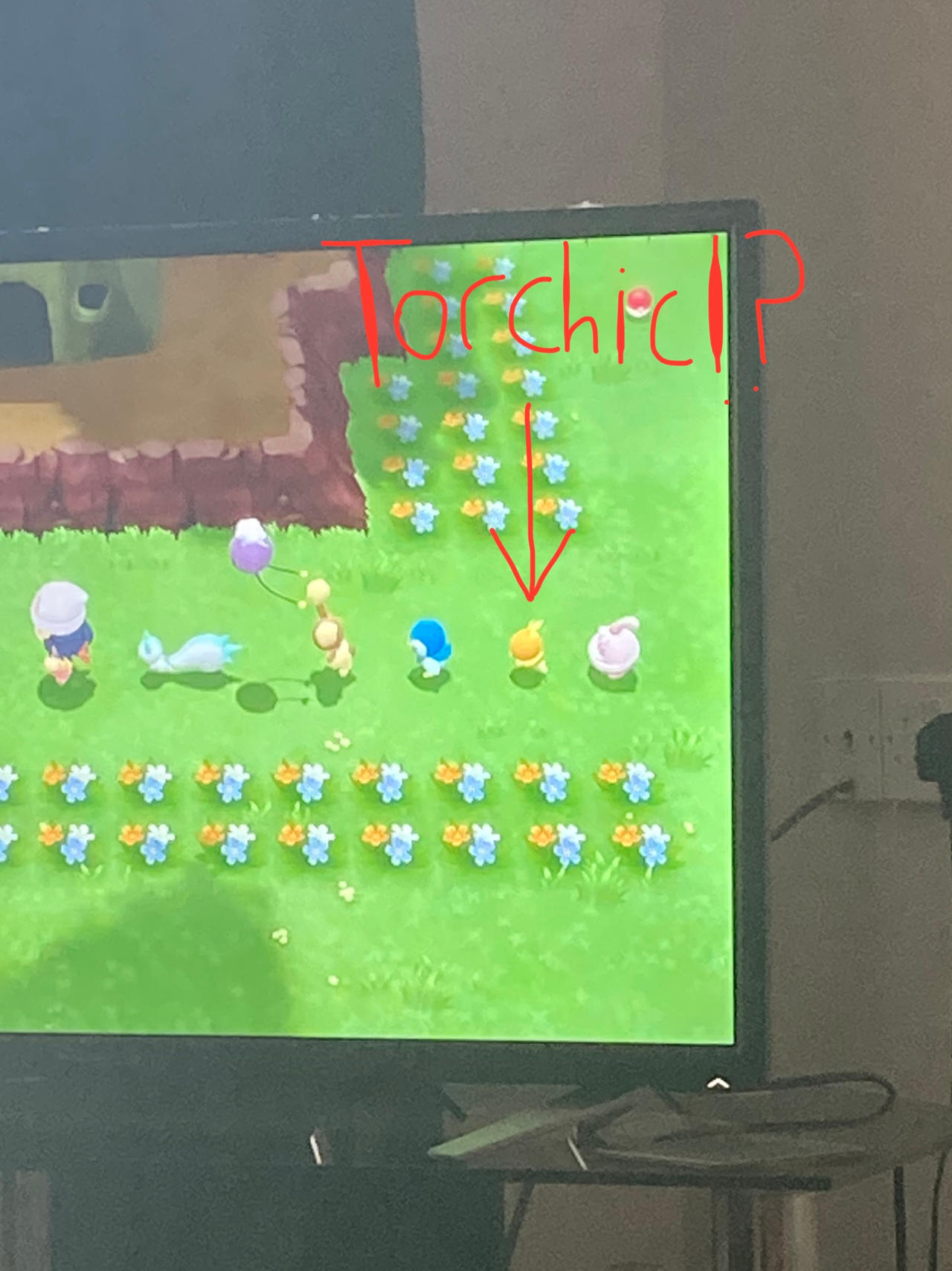 Torchic in Gen 4 Remakes!? by Brennagade2005 on DeviantArt