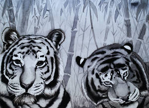 Water Color Tigers