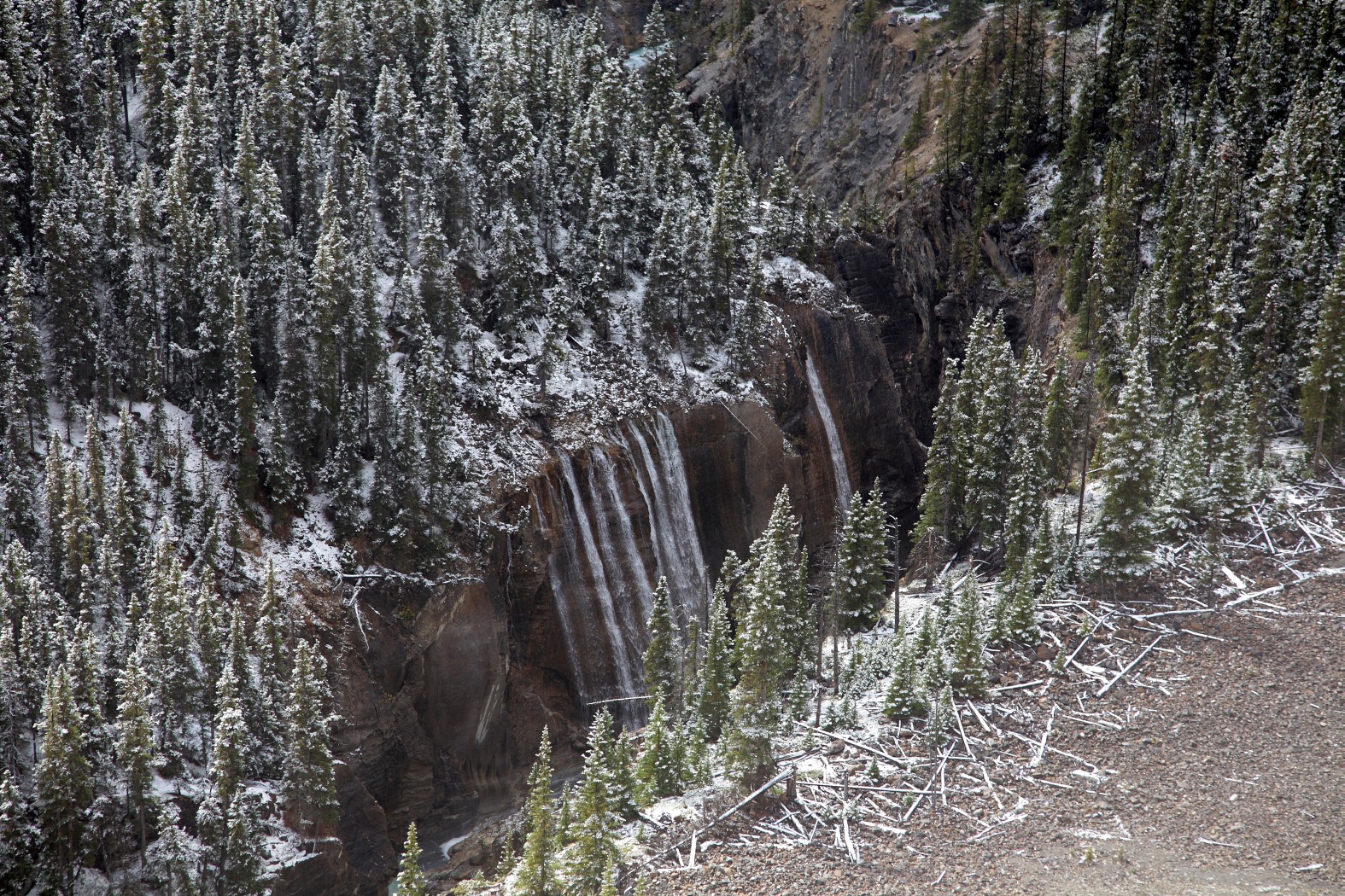 Canada - Icefields Parkway IV