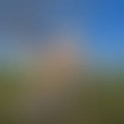 Celtic Warrior Woman - The Open Field