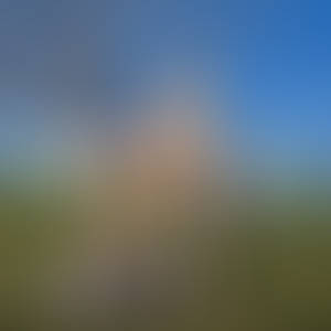 Celtic Warrior Woman - The Open Field