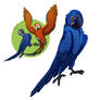 Macaws