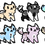 cat adopts (closed)