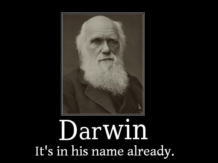 DarWin