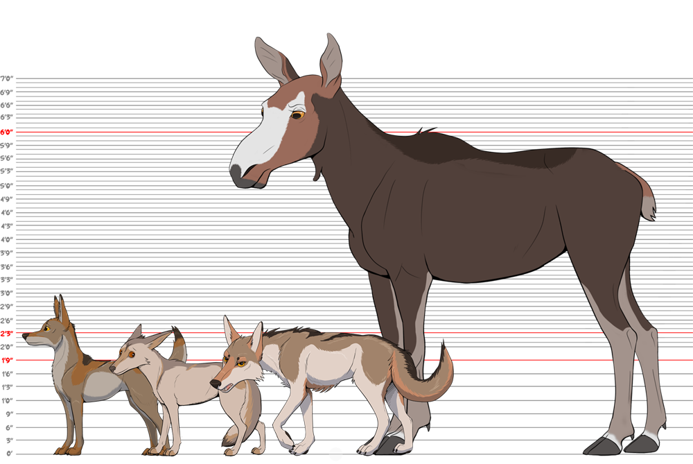 Character size chart by silverdragon76 on DeviantArt