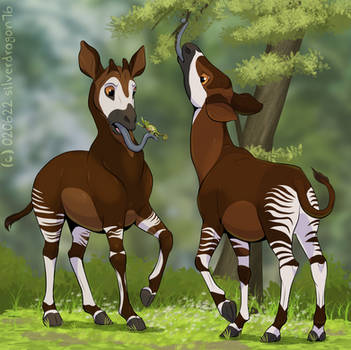 Explore the Best Okapi Art | DeviantArt