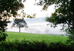 View of the River Mist