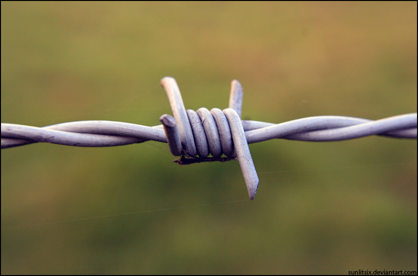 Barbed Wire III