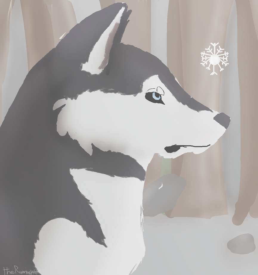 Husky Deviantart Husky Portrait by TheRunningWolfi on DeviantArt