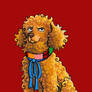 Sixth Dogtor