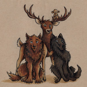 The Marauders