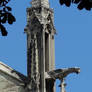 Gargoyles on the Notre Dame