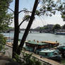 View through trees to the Seine