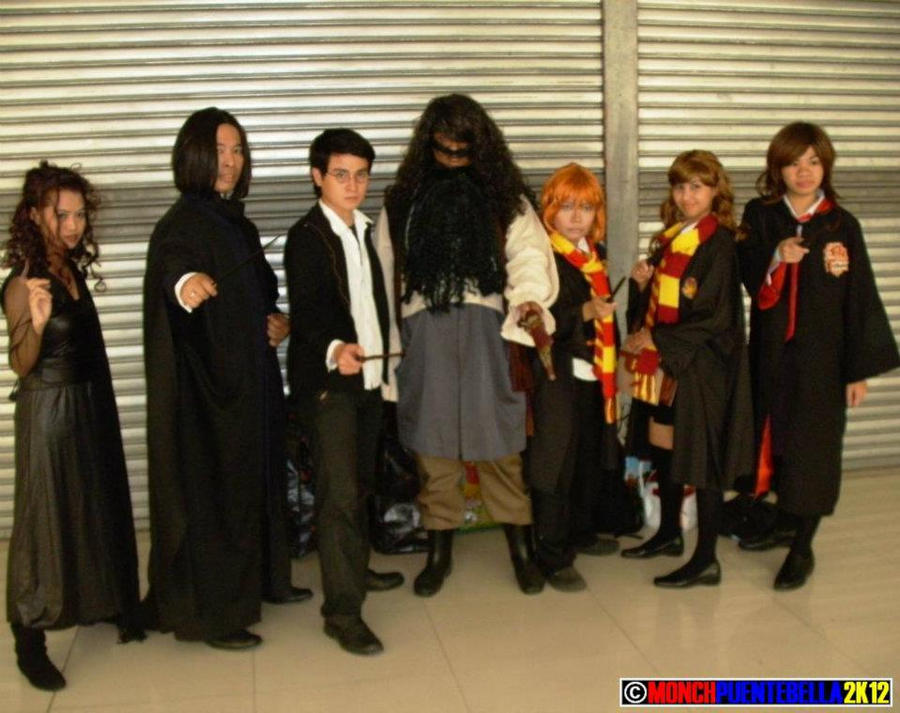 Harry Potter Group Cosplay I