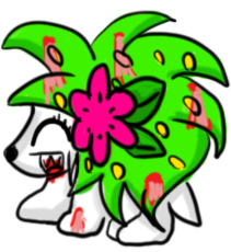 Shaymin GET