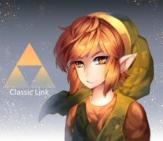 Classic Link-Hyrule Warriors