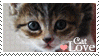Cat lover stamp
