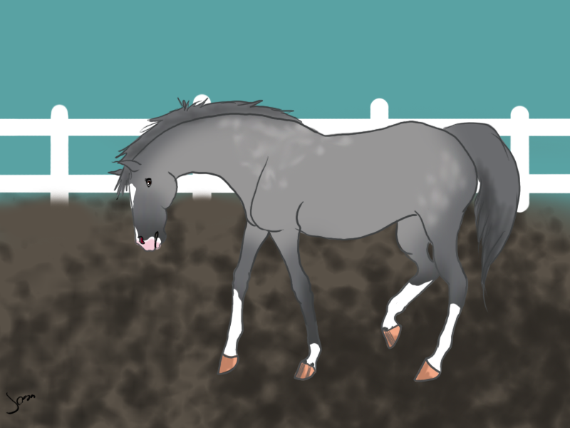 Holy mare