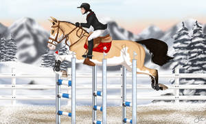 Snow Hurdles by Jessa-bee