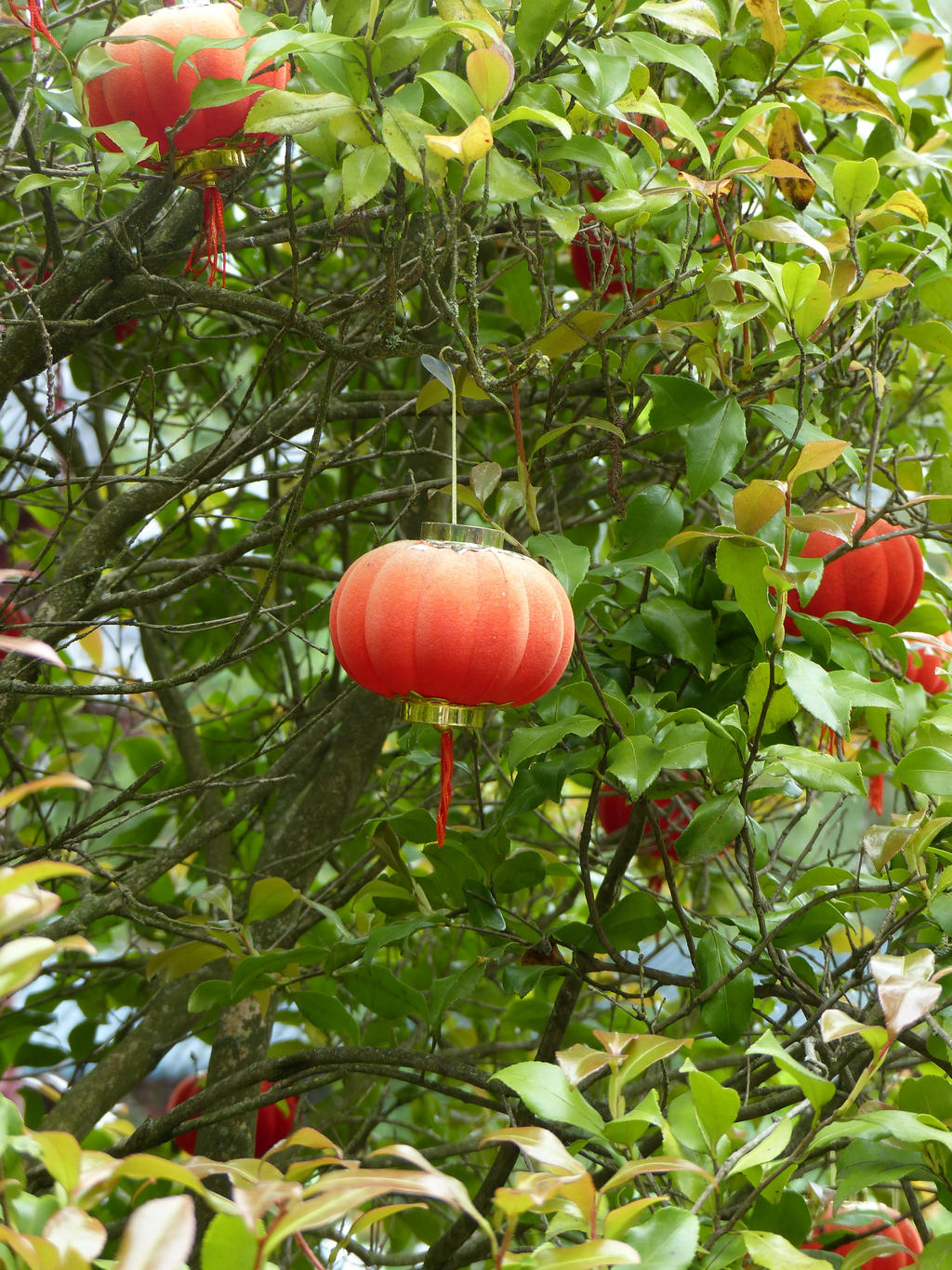 Lanterns