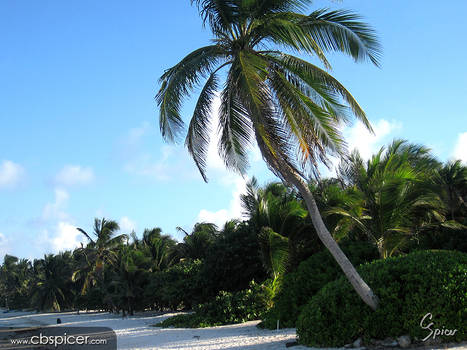 Akumal Sur Beach 01