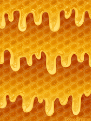 Honeycomb