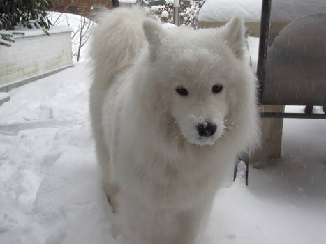 Kleiner Schneeengel.