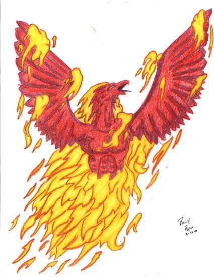 Rising Phoenix Tattoo By Ddavis1979 On Deviantart Rising Phoenix Tattoo By Ddavis1979 On Deviantart